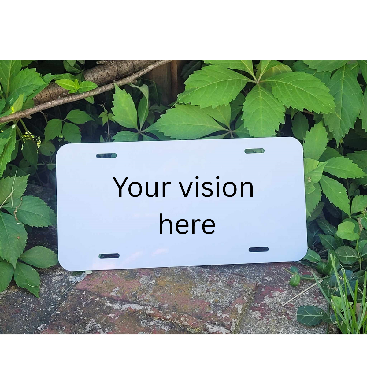 License Plate
